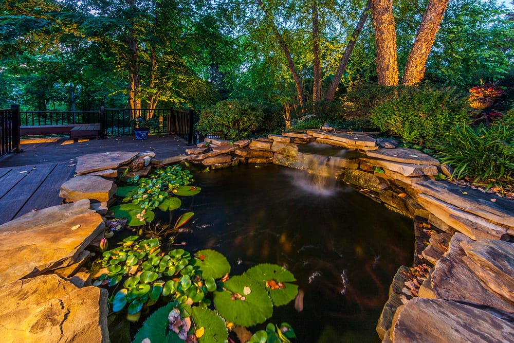 Pond lighting