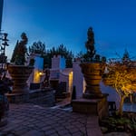 _MG_5654