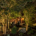 _MG_5689